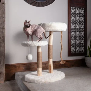 Cat Tree